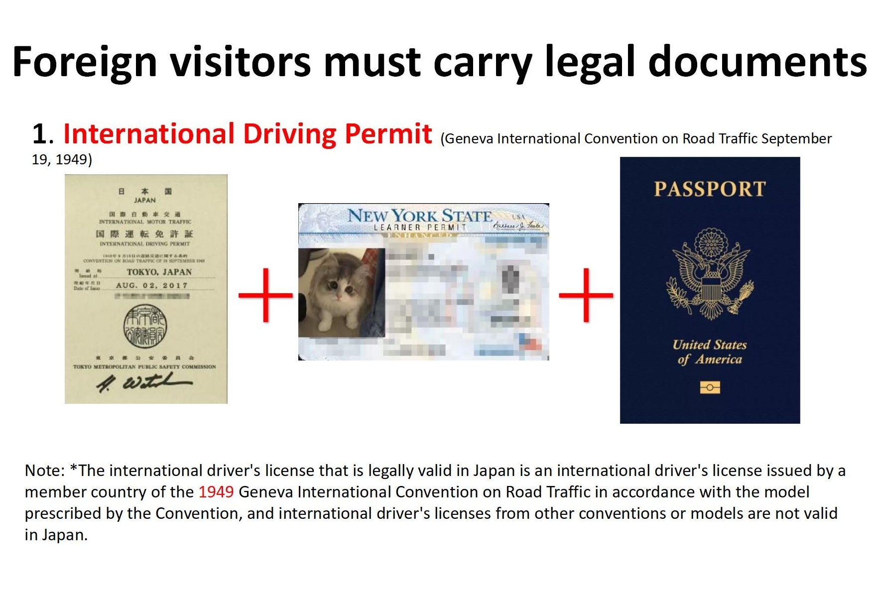 International Driving Permit example